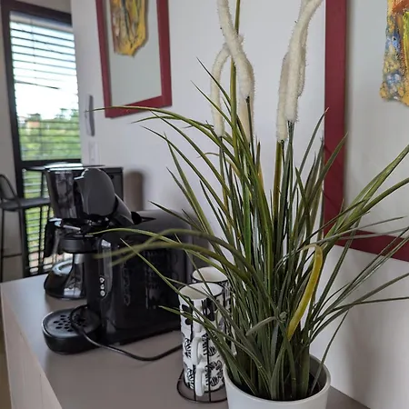 Apartamento Pre Madame, Terrasse, Parking Riom